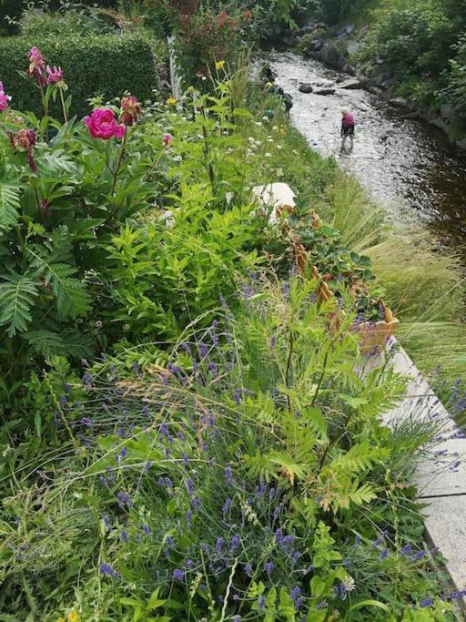 Guenstige, Schoene Ferienwohnung Im Wanderparadies Wernigerode Luaran gambar